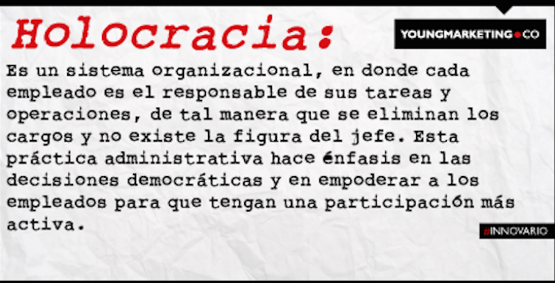 Holocracia, la evolución innovadora del management empresarial