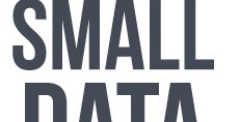 Entrevista: “Small Data, los pequeños datos hacen grandes cambios”