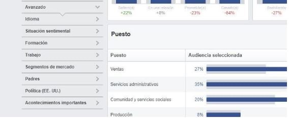 Facebook Audience Insights