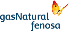 Gas Natural Fenosa