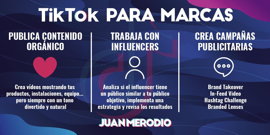 tiktok infographic for brands