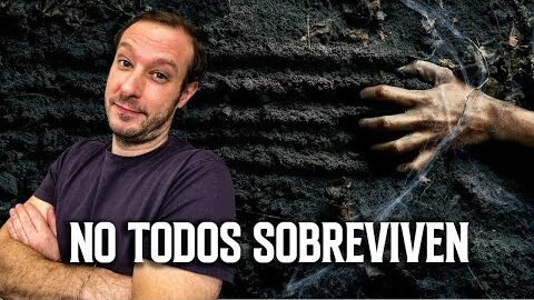 Nadie te lo dice, pero EMPRENDER es una MI… hasta que no lo es