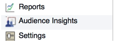 Facebook Audience Insights2